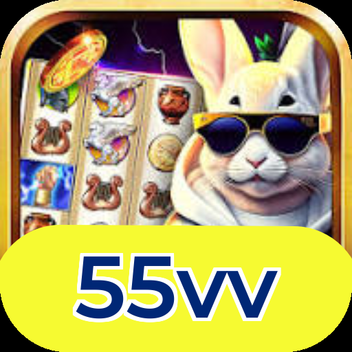 55vv